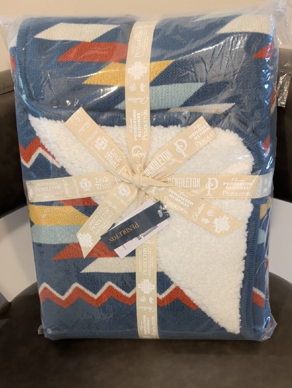 COZY PENDLETON SUMMERLAND SHERPA STROLLER BLANKET New with Tags